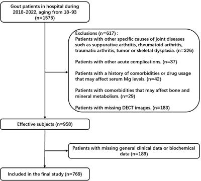 Serum ionized magnesium acts as an independent protective factor against bone erosion in patients with gouty arthritis: a cross-sectional study